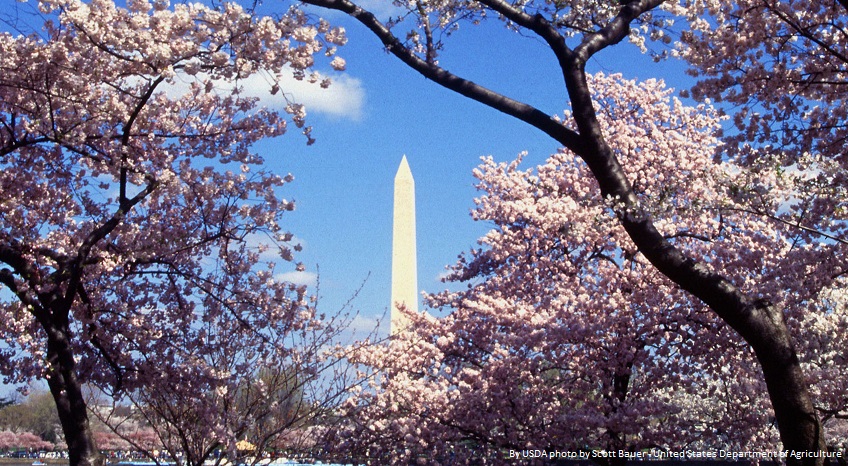 Washington, DC image Washington, DC