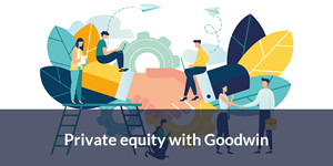 Private equity goodwin