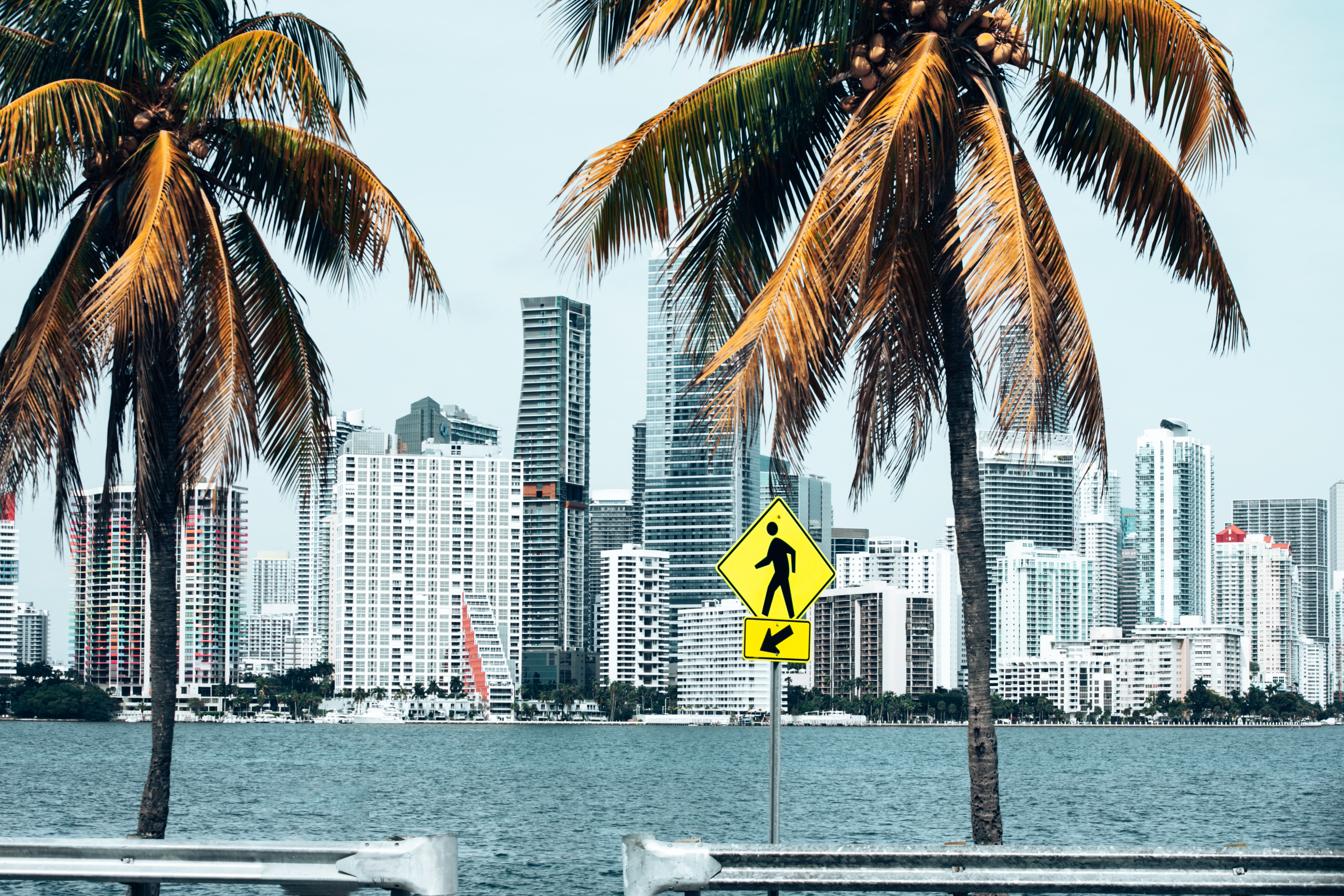 Miami image Miami