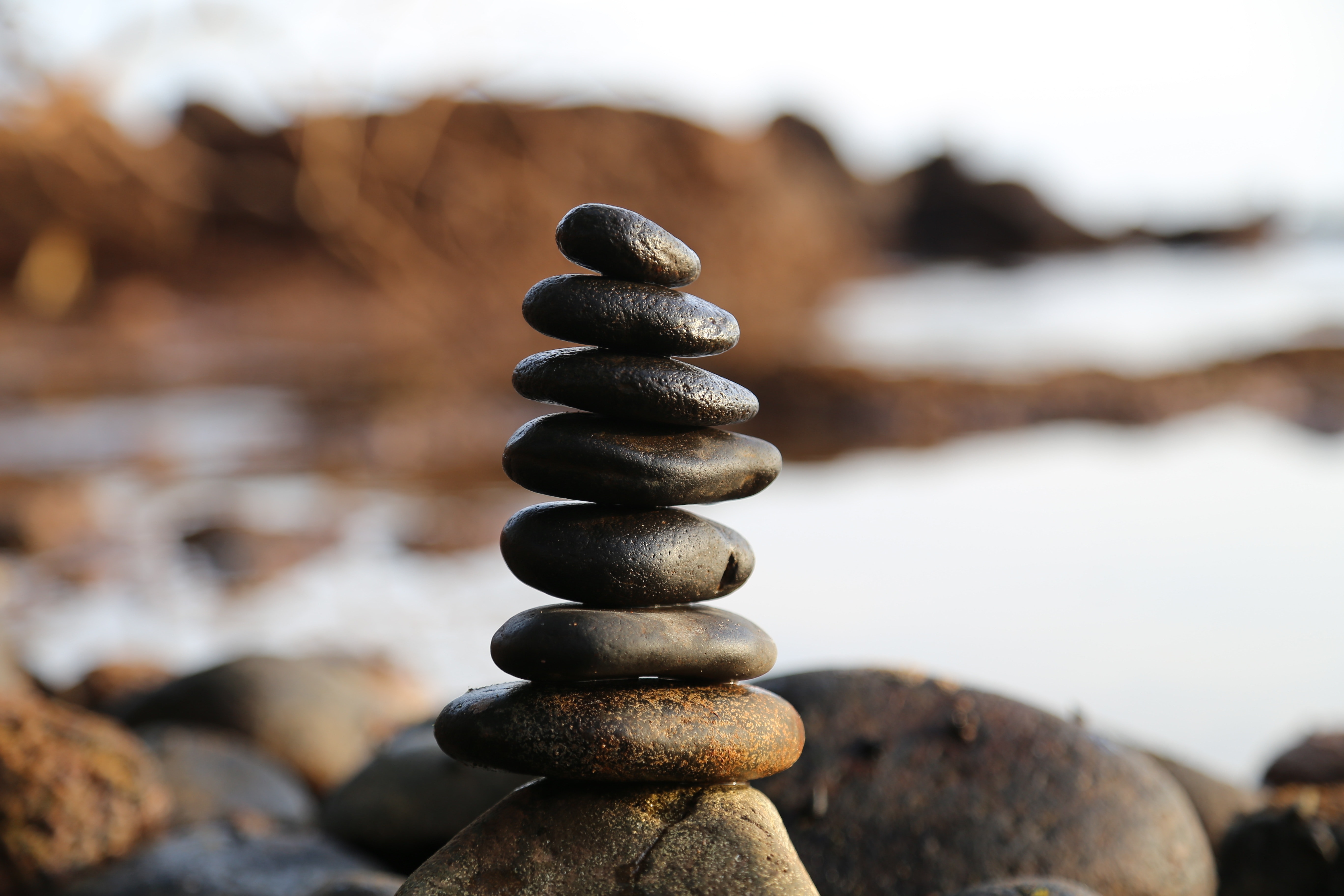 Wellbeing (1) image Wellbeing (1)