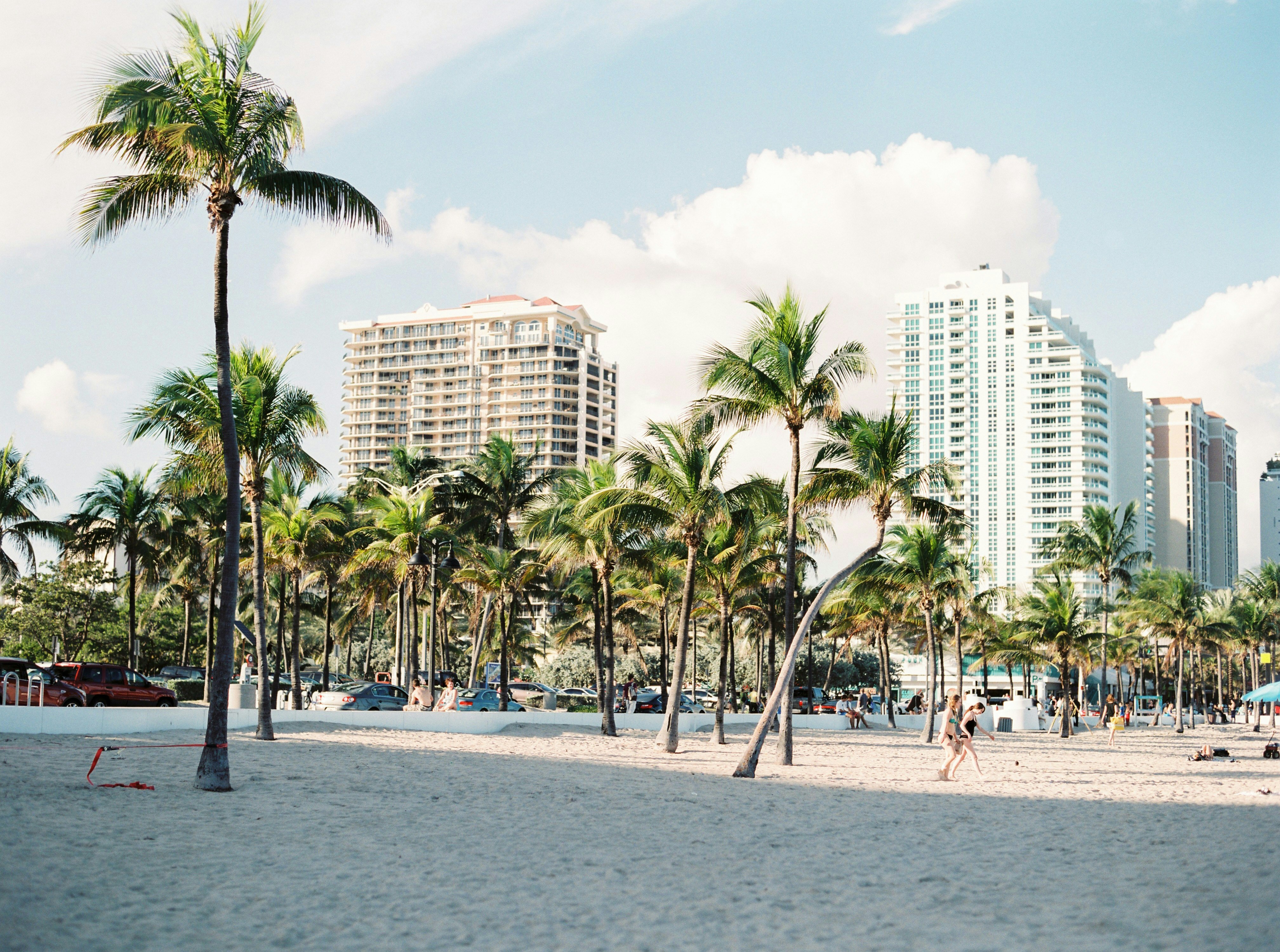 McDermott miami header.jpg